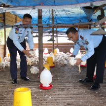 Tanpa Menyerah, Warga Binaan Lapas Bangkinang Budidaya Ayam Potong