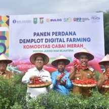 Pj Bupati Kampar Apresiasi Demplot Digital Farming Telah Diterapkan di Kampar