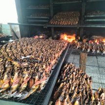 Daerah Penuh Rawa Berubah Menjadi Kampung Patin Desa Wisata