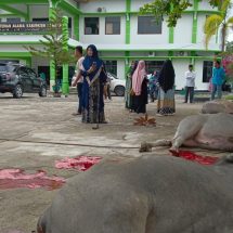 Kemenag Kampar Sembelih Tiga Ekor Hewan Qurban