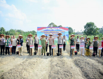 Dukung Swasembada Pangan, Pemkab Kampar Bersama Polres Tanam Jagung Pipil