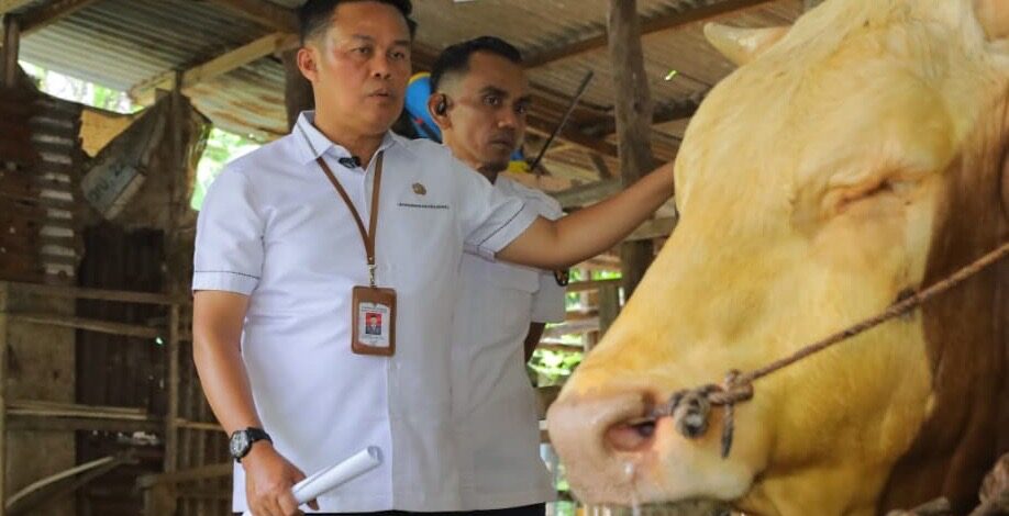 Persiapan Idul Adha, Kota Pekanbaru Sediakan 3.514 Ekor Hewan Kurban