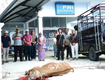 Wakil Bupati Misharti Hadiri Penyembelihan Hewan Qurban PWI Kampar