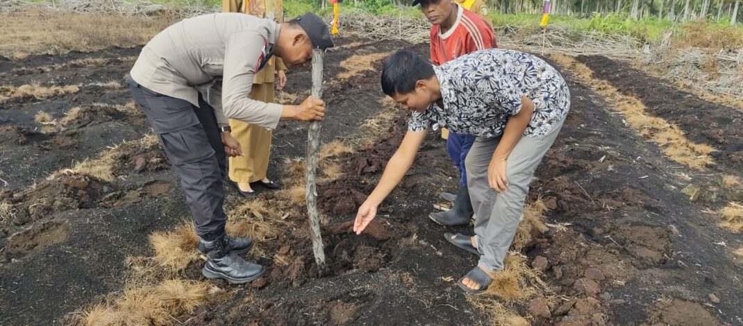 Dukung Ketahanan Pangan Nasional, Polsek Rangsang Tanam Jagung Pipil 0,5 Hektare di Desa Betina