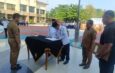 Kemenag Kampar dan BNK Perkuat Sinergi P4GN, Penyuluh Agama hingga Pesantren Jadi Garda Terdepan Cegah Narkoba