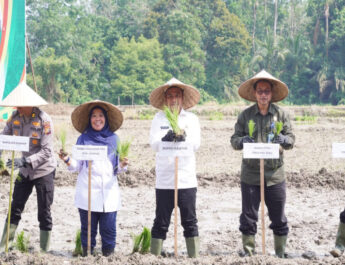 Dorong Swasembada Pangan dan Modernisasi Pertanian, Bupati Kampar Canangkan Gerakan Tanam Padi