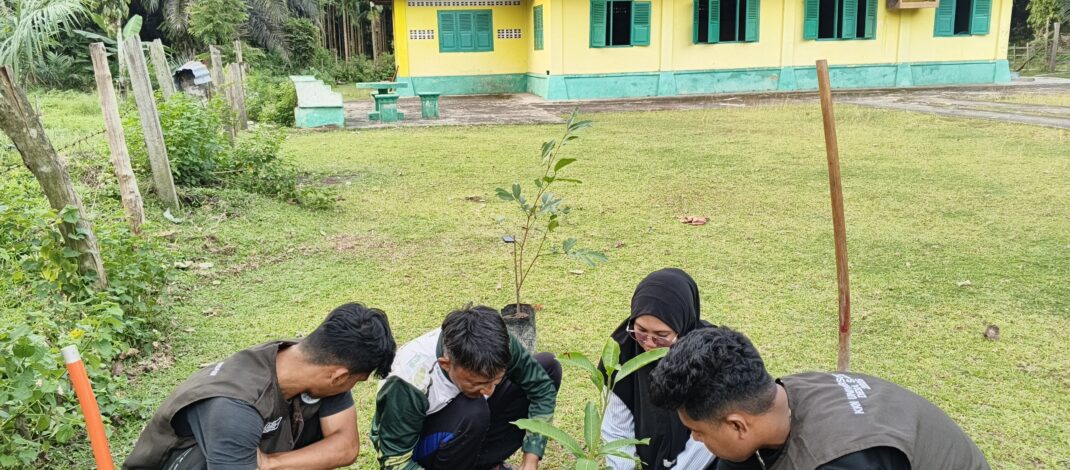 Masjid Tua di Pulau Tonga Tetap Hidup dalam Doa, Penyuluh Agama KUA Salo dan Mahasiswa KKN UNRI Hijaukan Pekarangannya