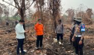 Bupati Ahmad Yuzar Turun Langsung Tinjau Karhutla di Rimbo Panjang